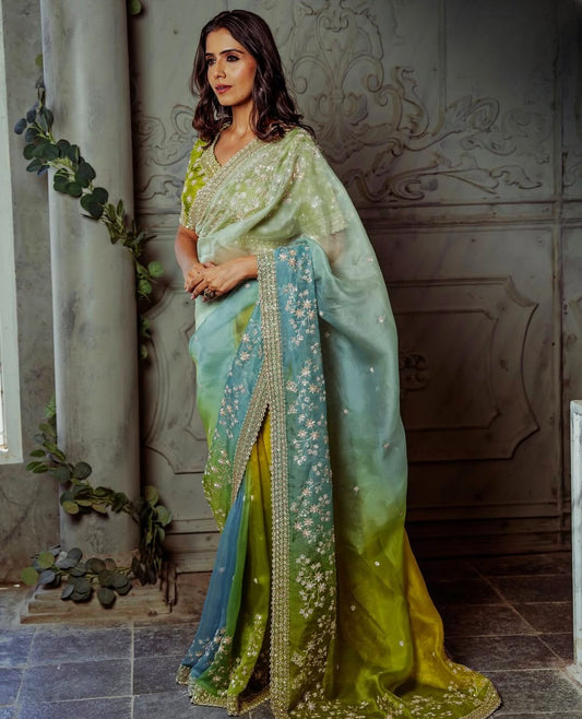 Green & Sky Blue Heavy Embroidery With Organja Silk Sree