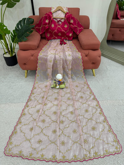 Baby Pink Heavy Zimmy Chu Saree