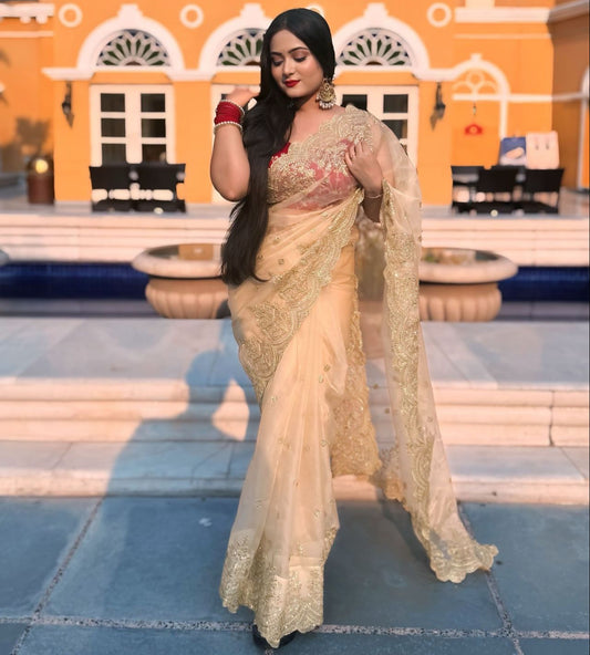 Off White Heavy Soft Nylon Organza Zari Embroidery Work Saree