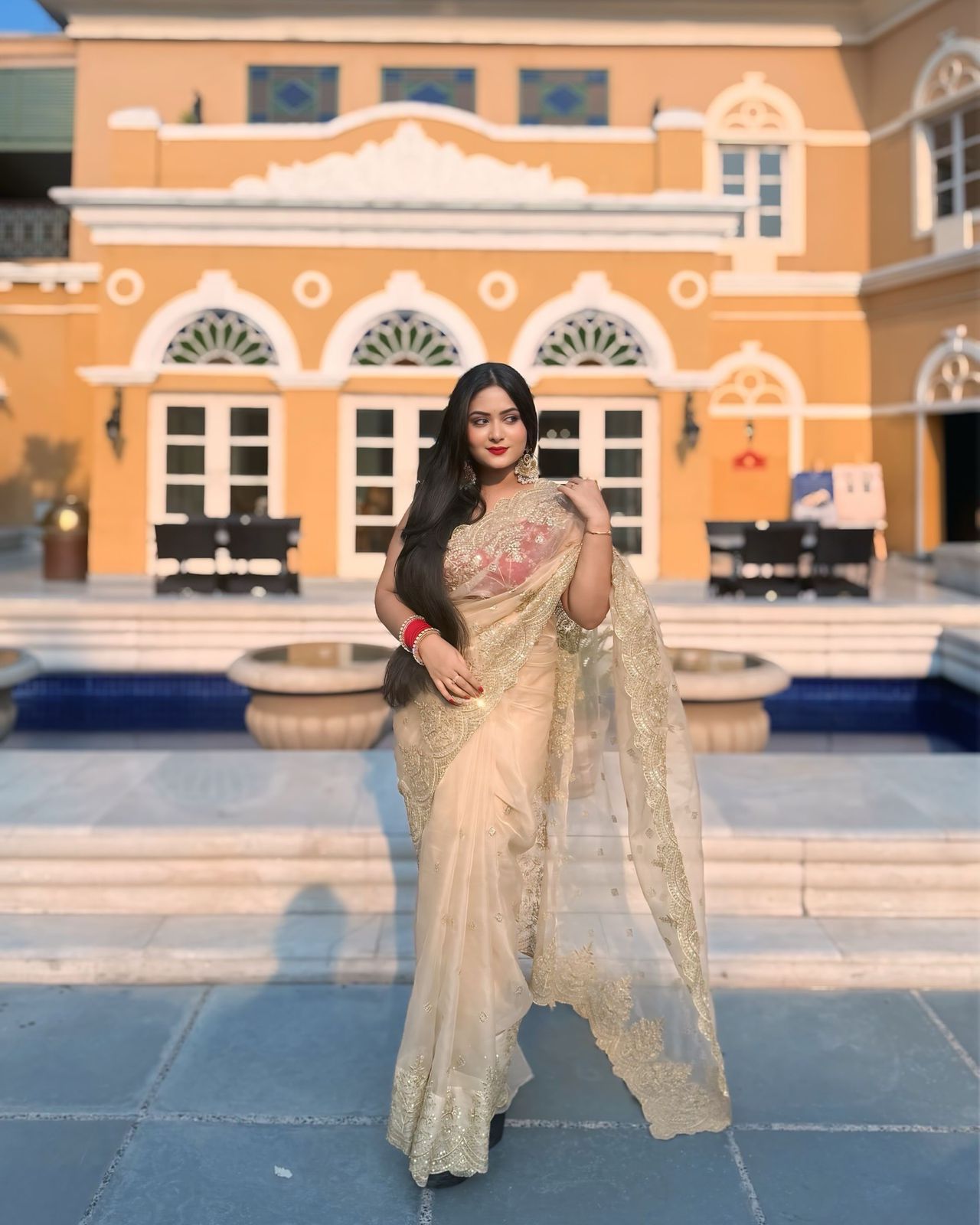 Off White Heavy Soft Nylon Organza Zari Embroidery Work Saree