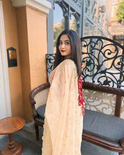 Off White Heavy Soft Nylon Organza Zari Embroidery Work Saree