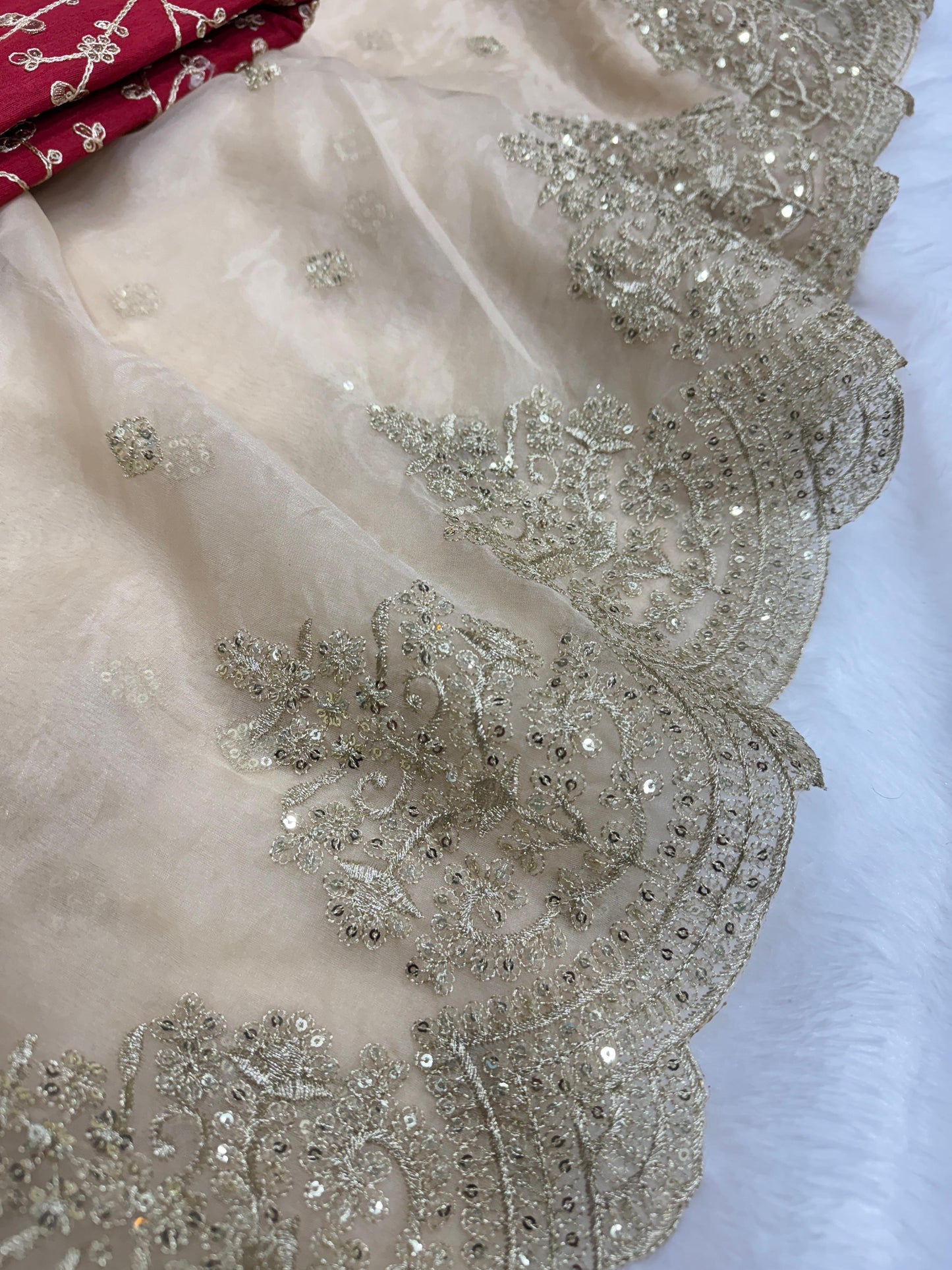 Off White Heavy Soft Nylon Organza Zari Embroidery Work Saree