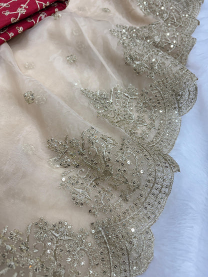 Off White Heavy Soft Nylon Organza Zari Embroidery Work Saree