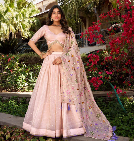 Light Pink Gold Crush Lehenga Choli
