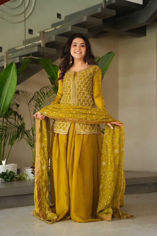 Mehendi  Fendy  Rich beads Embroidered Work Sharara set